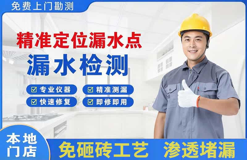 梨林精准测漏点